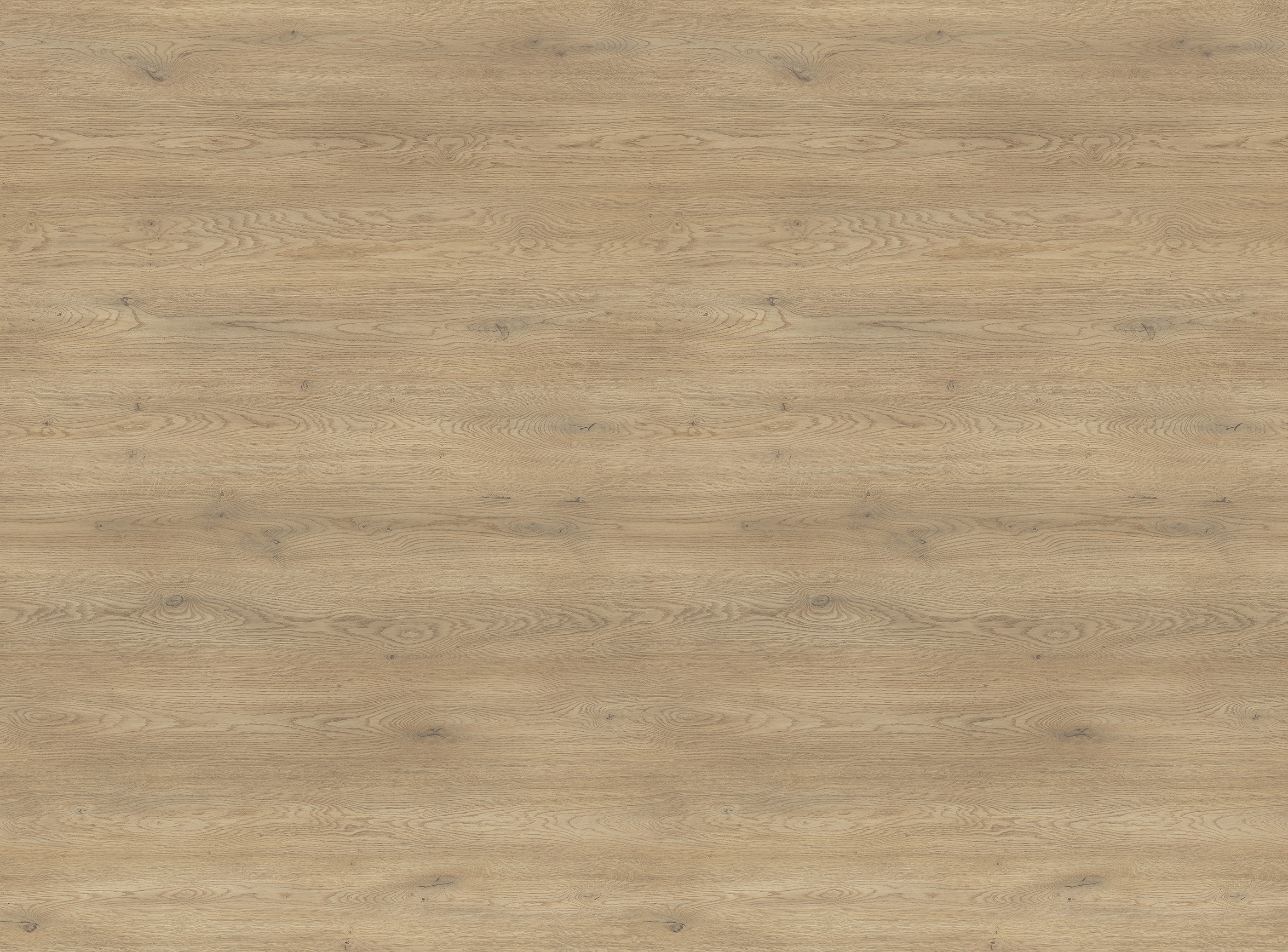 Płyta meblowa laminowana Dąb Cremona Torro 2738 PW